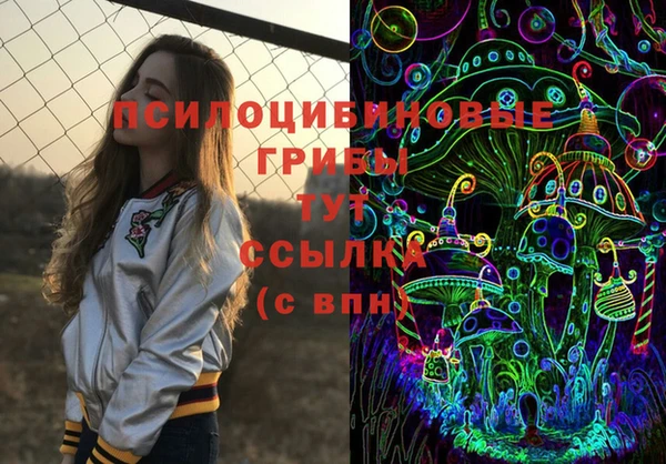 ECSTASY Козловка