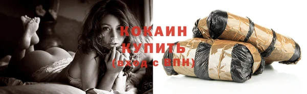 шишки Кодинск