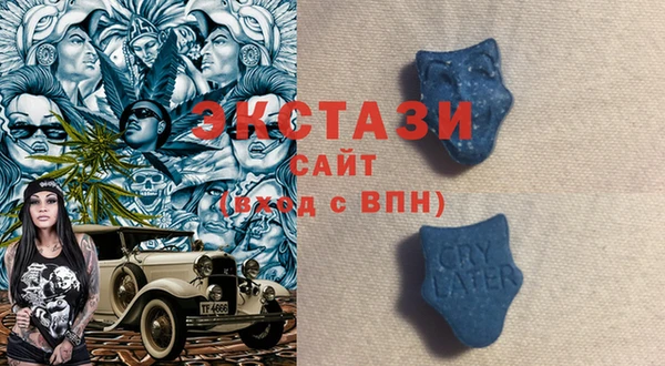 шишки Кодинск